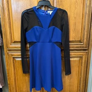 BCBG Colorblock Long Sleeved Dress
